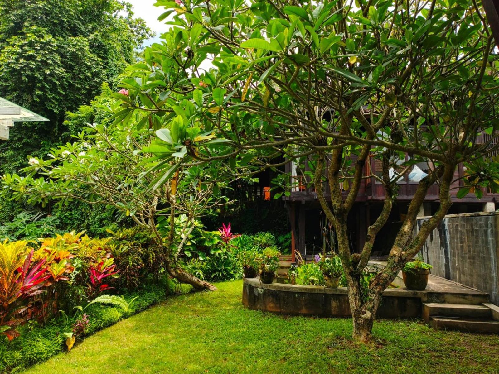 Pousada Malathi Wooden House With Pool View