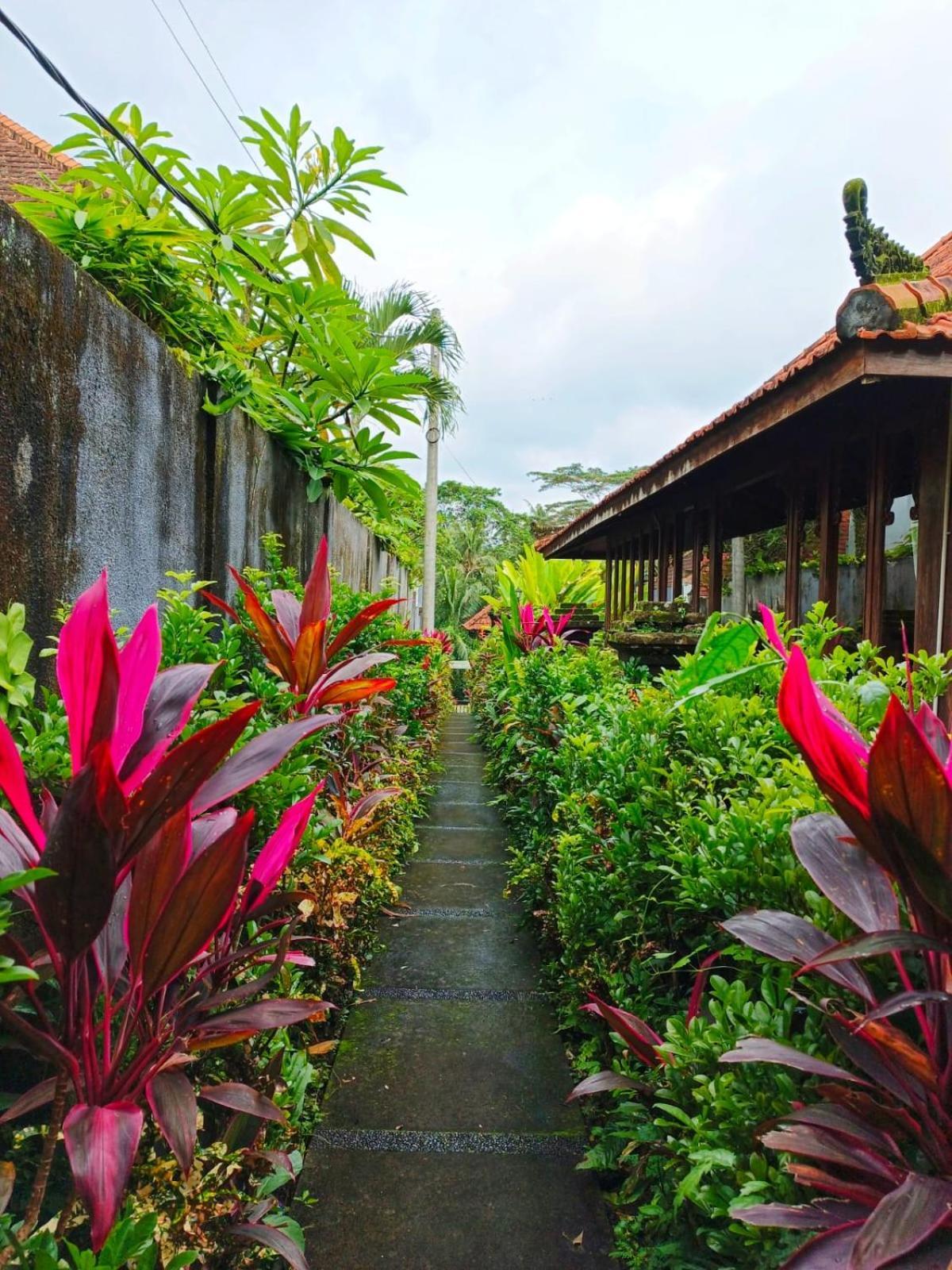 Malathi Wooden House With Pool View Villa