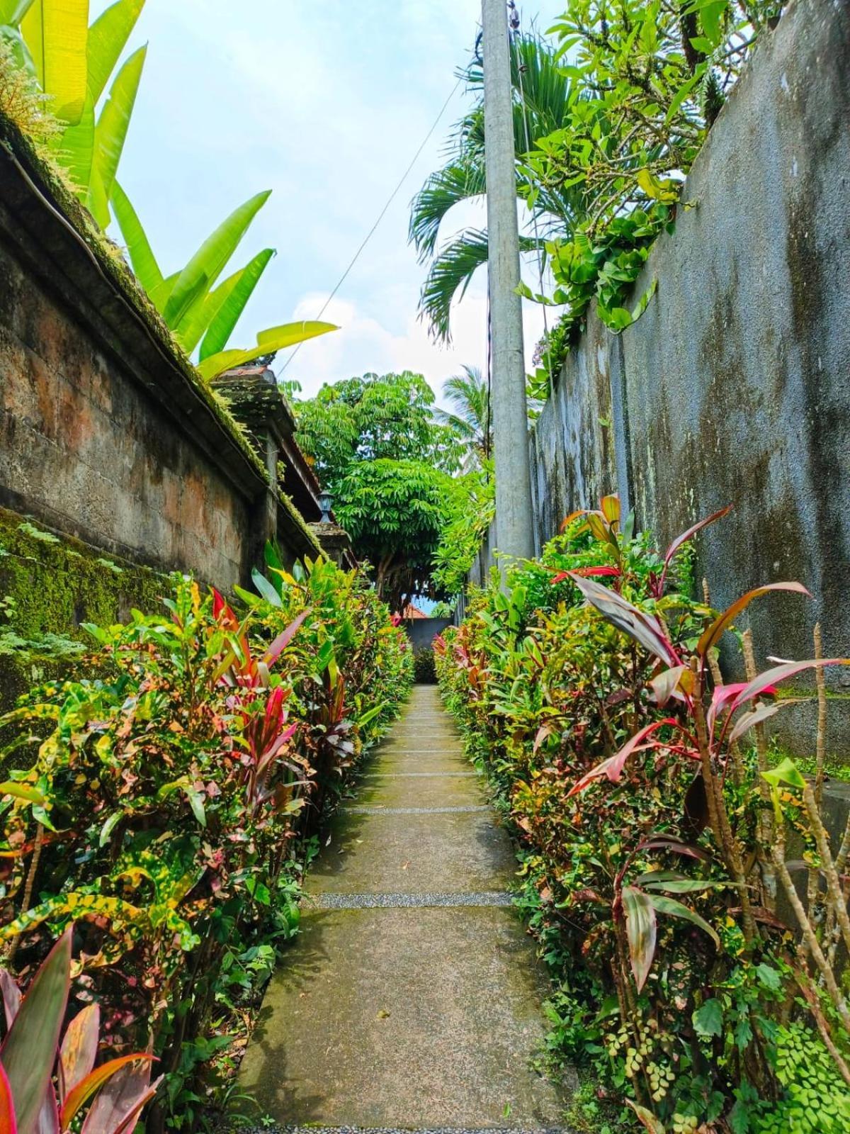 Malathi Wooden House With Pool View Villa *