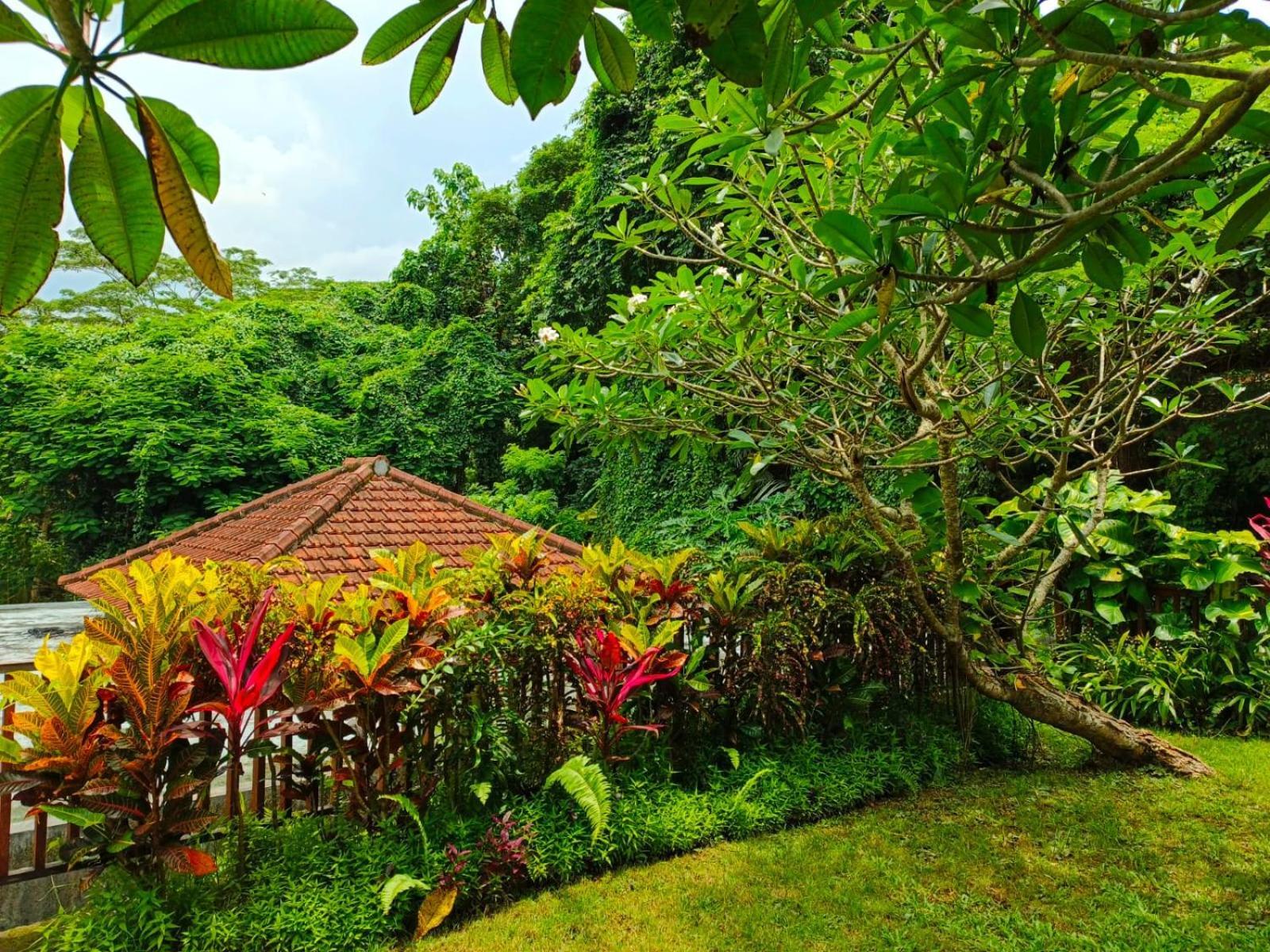 Villa Malathi Wooden House With Pool View *